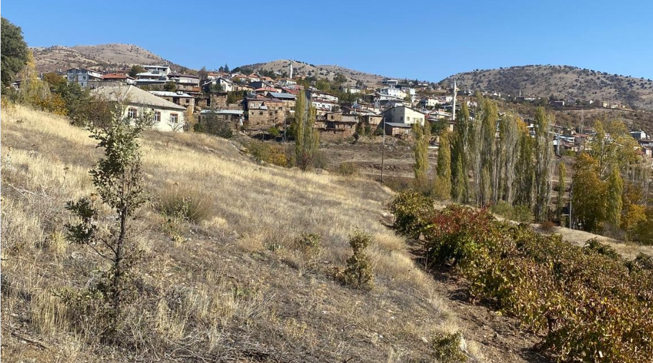 KONYA HADİM AŞAĞI EŞENLER 3.212 M² BAĞ SATILIKTIR   - KONYA HADİM fotoğraf 17